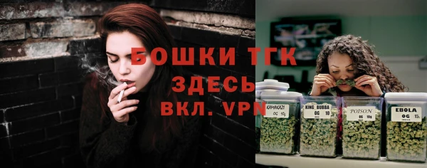 прущие крисы Елизово