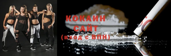 прущая мука Ельня