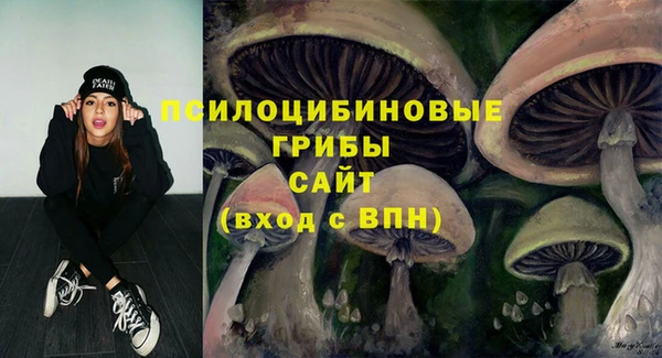 не бодяженный Елабуга