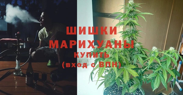 прущая мука Ельня