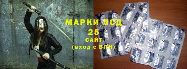 прущие крисы Елизово
