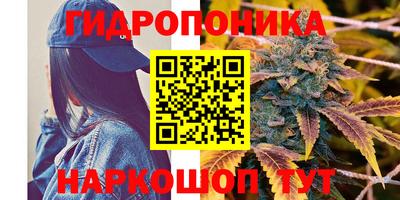 соль ск Гусь-Хрустальный