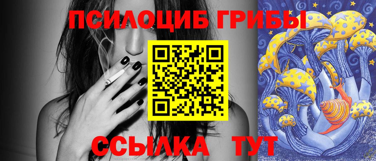 Псилоцибиновые грибы прущие грибы  Вход с VPN  Избербаш 