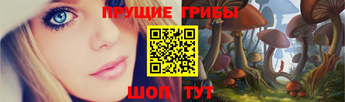 Псилоцибиновые грибы Magic Shrooms Избербаш